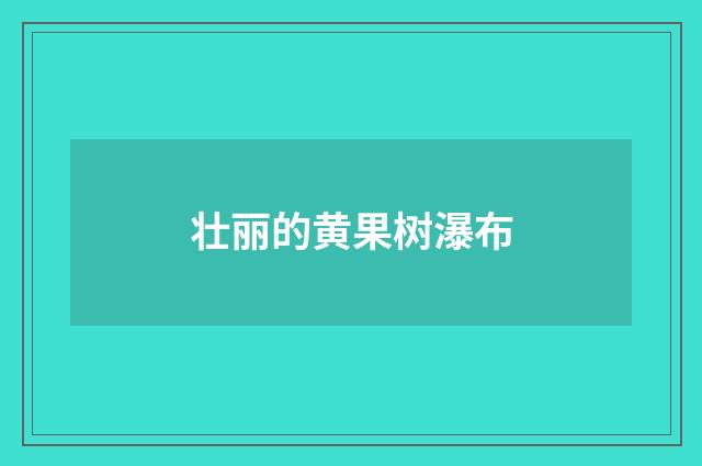 壮丽的黄果树瀑布