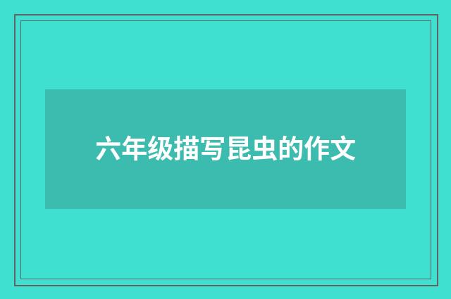 六年级描写昆虫的作文