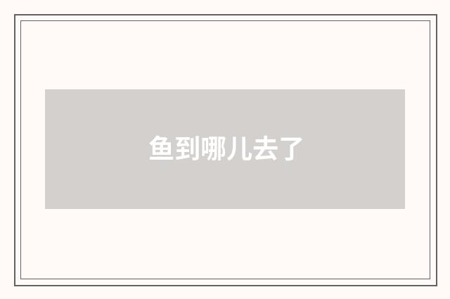 鱼到哪儿去了