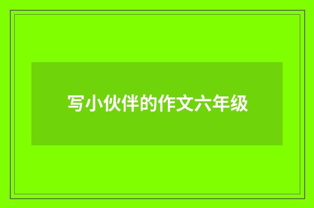 写小伙伴的作文六年级