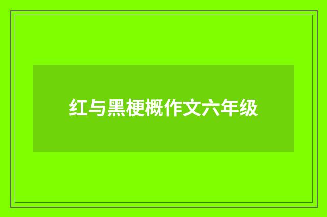 红与黑梗概作文六年级