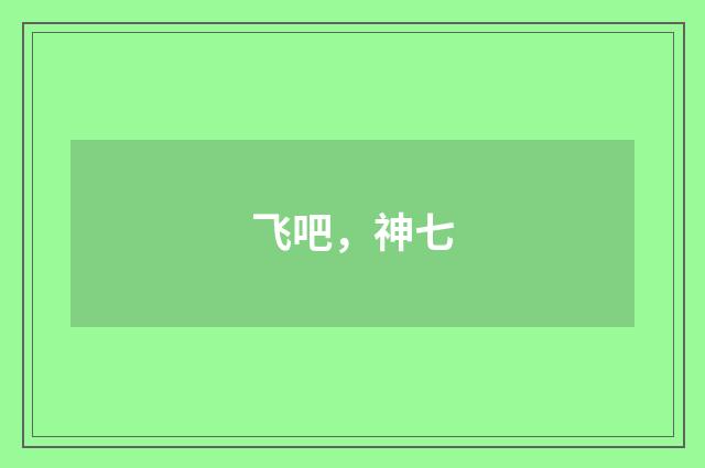 飞吧，神七