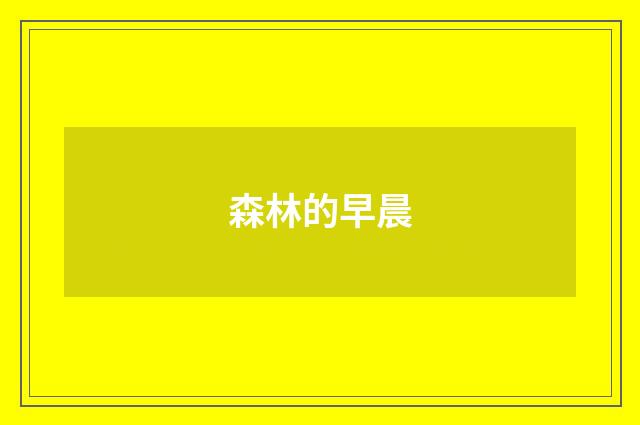 森林的早晨