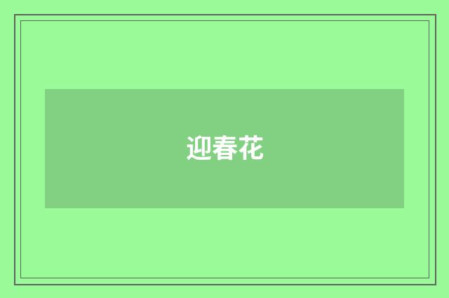 迎春花