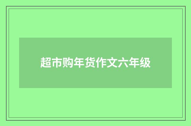 超市购年货作文六年级