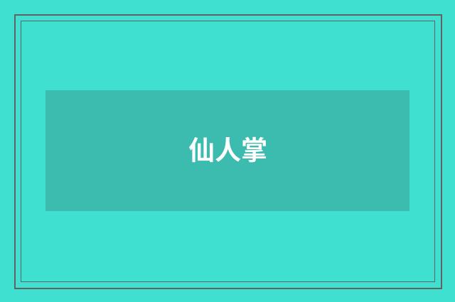 仙人掌