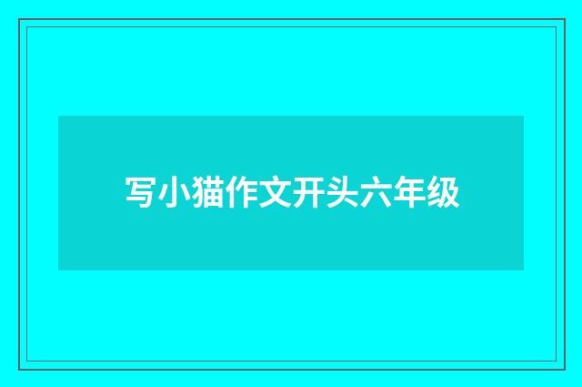 写小猫作文开头六年级