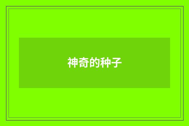 神奇的种子