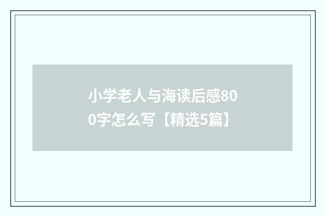小学老人与海读后感800字怎么写【精选5篇】