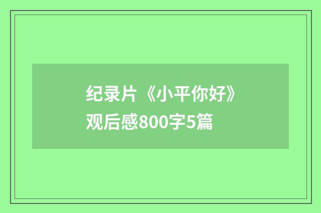 纪录片《小平你好》观后感800字5篇