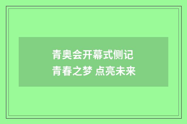 青奥会开幕式侧记 青春之梦 点亮未来