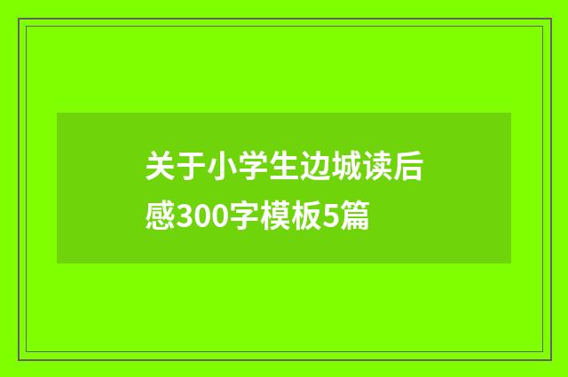 关于小学生边城读后感300字模板5篇