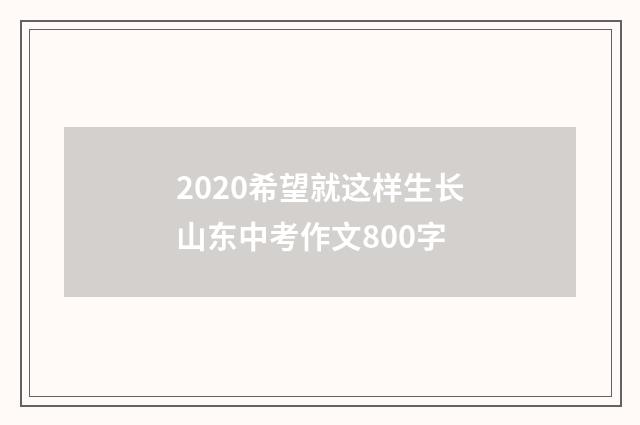 2020希望就这样生长山东中考作文800字