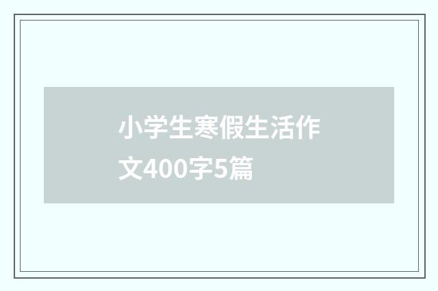 小学生寒假生活作文400字5篇