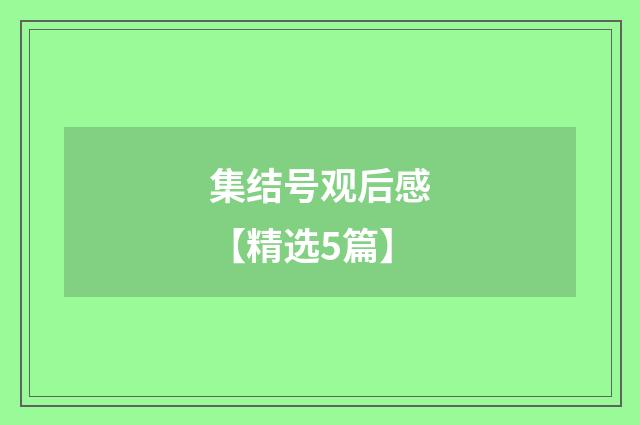 集结号观后感【精选5篇】