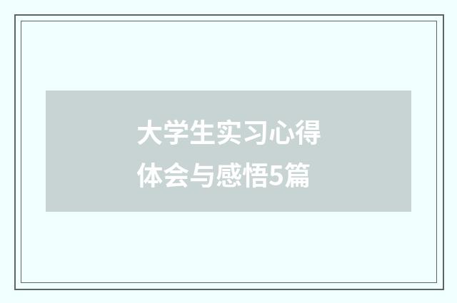 大学生实习心得体会与感悟5篇