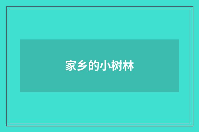 家乡的小树林