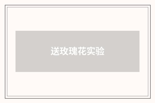送玫瑰花实验