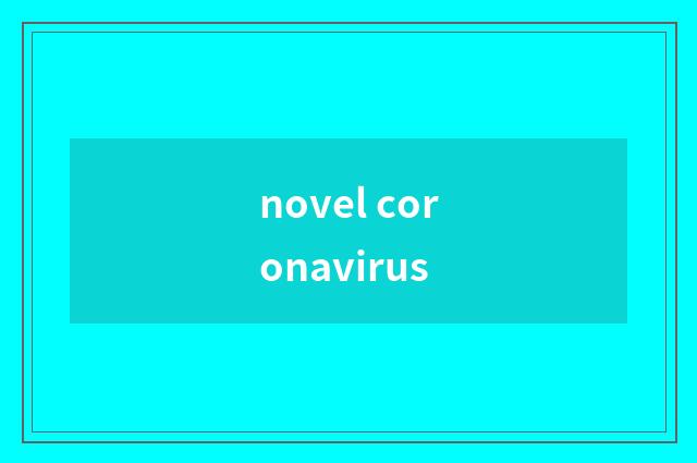 novel coronavirus