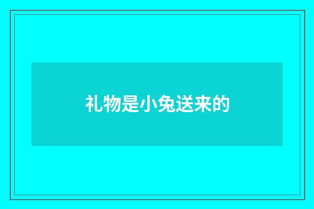 礼物是小兔送来的