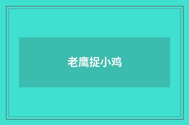 老鹰捉小鸡