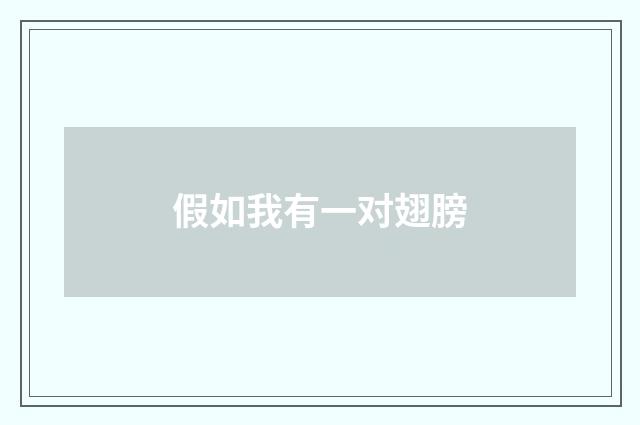 假如我有一对翅膀