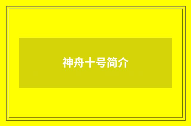 神舟十号简介