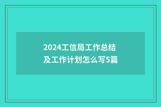 2024工信局工作总结及工作计划怎么写5篇