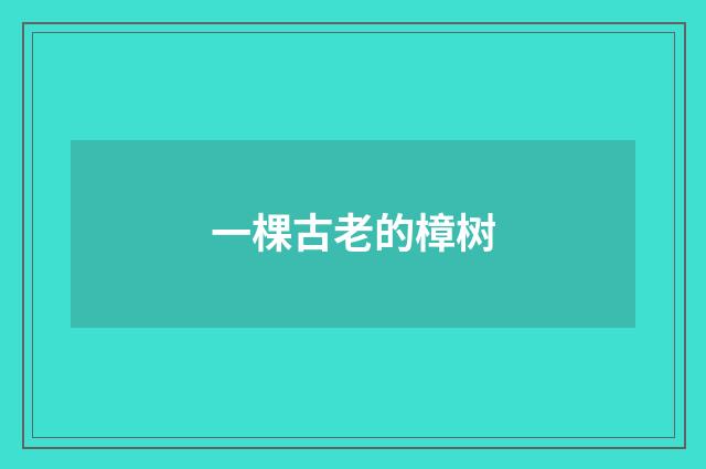 一棵古老的樟树