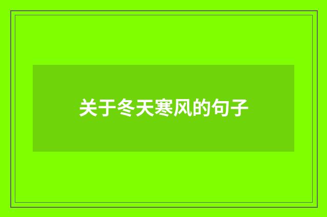 关于冬天寒风的句子