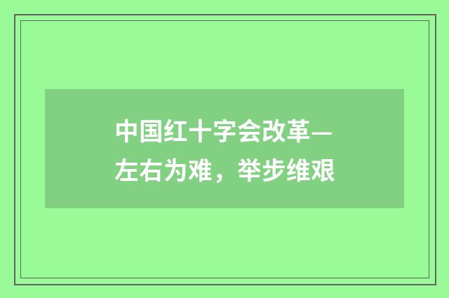 中国红十字会改革—左右为难，举步维艰