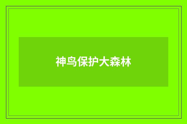神鸟保护大森林