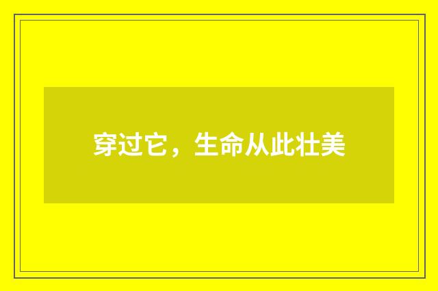 穿过它，生命从此壮美