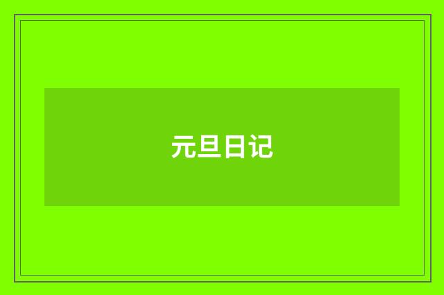 元旦日记