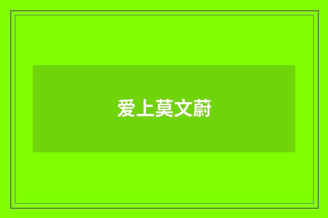 爱上莫文蔚