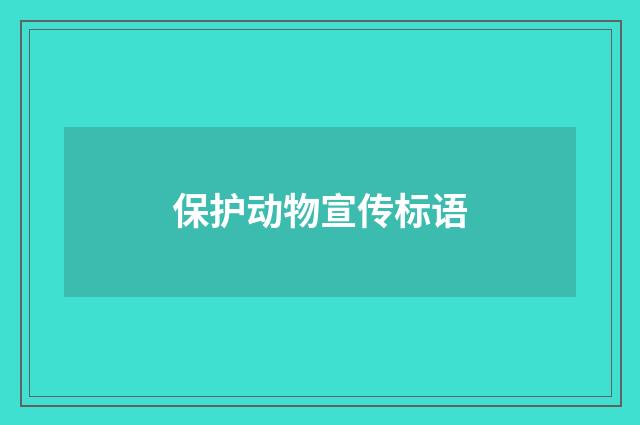 保护动物宣传标语