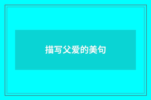 描写父爱的美句