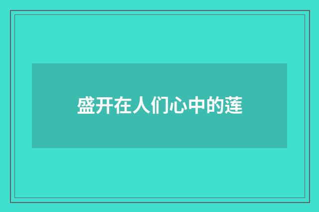 盛开在人们心中的莲
