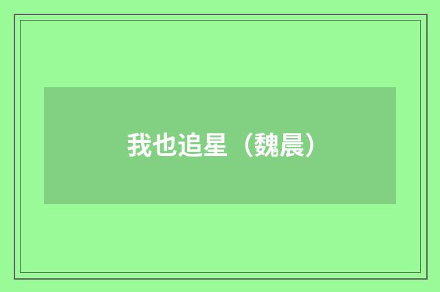 我也追星（魏晨）