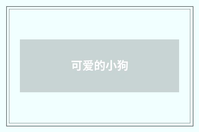 可爱的小狗
