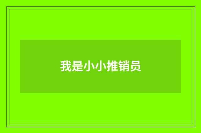 我是小小推销员
