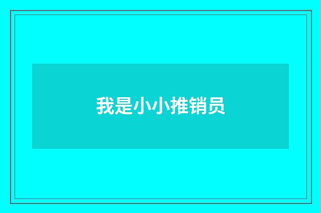 我是小小推销员