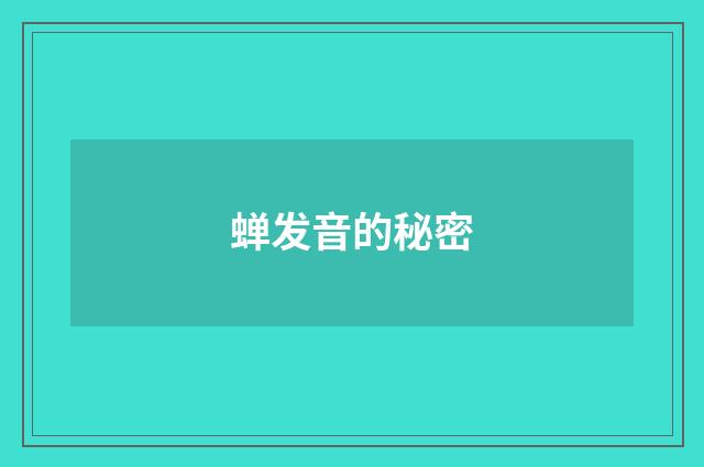 蝉发音的秘密