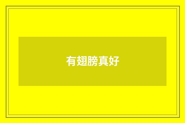 有翅膀真好