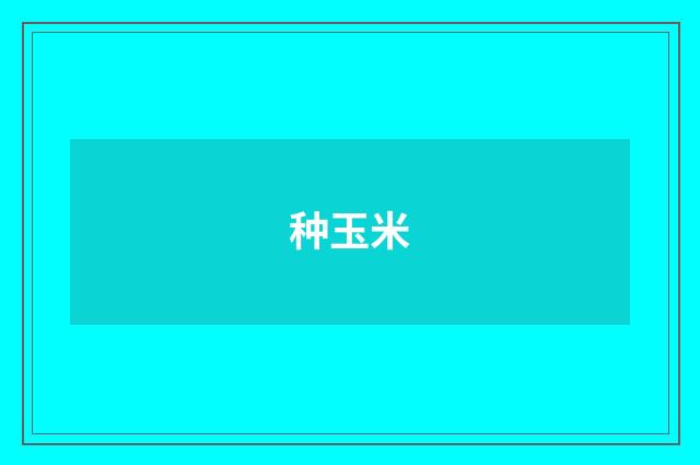 种玉米