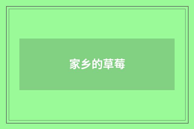 家乡的草莓