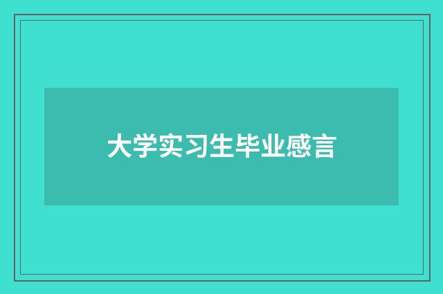 大学实习生毕业感言
