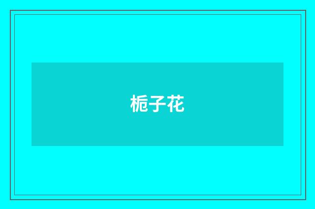 栀子花
