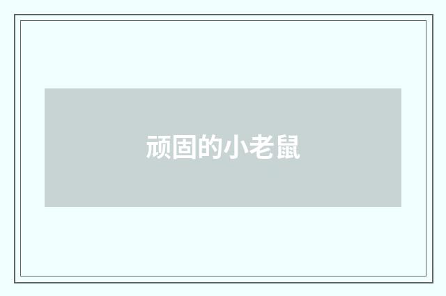顽固的小老鼠