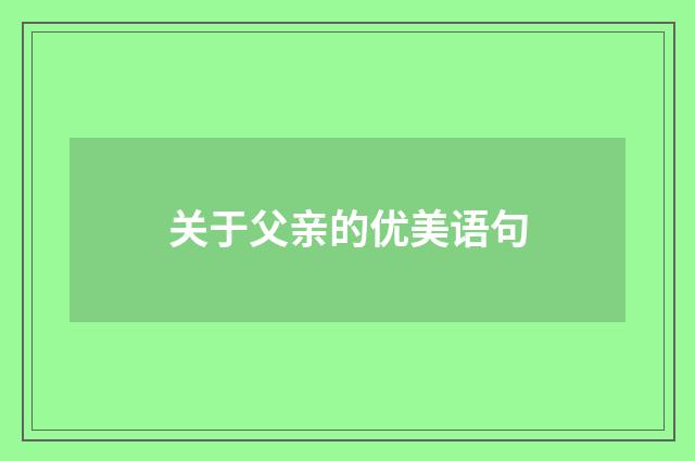 关于父亲的优美语句